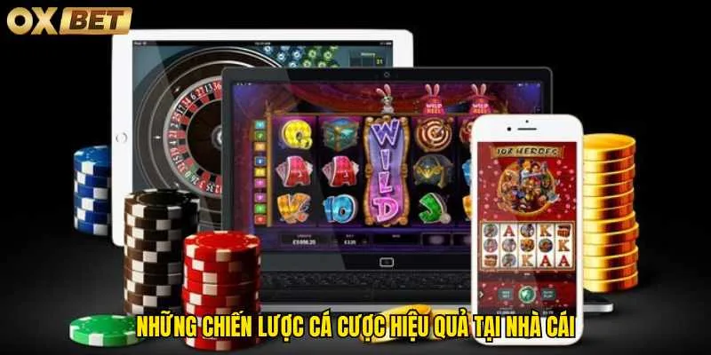 nhung-chien-luoc-ca-cuoc-hieu-qua-tai-nha-cai